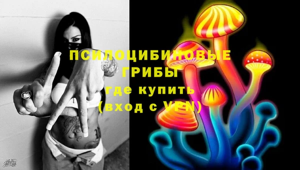 МДПВ Магадан