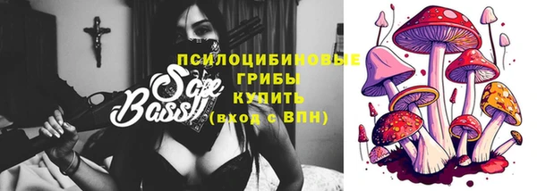 хмурый Липки