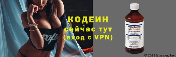 хмурый Липки