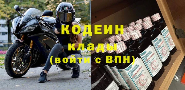 хмурый Липки