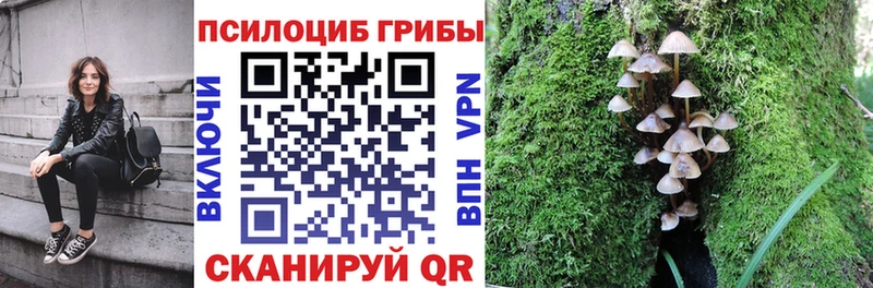 Купить где Кимовск Псилоцибиновые грибы мухоморы