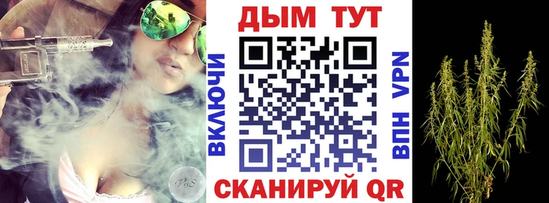 Канабис гибрид  Купить закладки  Кимовск 